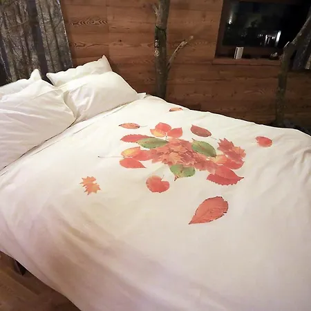 One Room-3